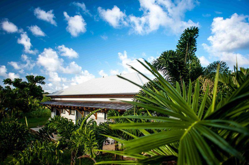 French Coco Hotel La Trinité Kültér fotó