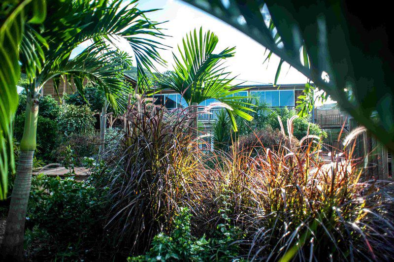 French Coco Hotel La Trinité Kültér fotó